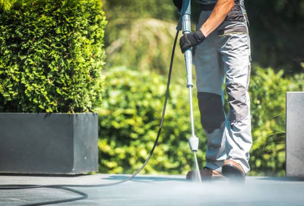 Best Building Exterior Washing  in Carrollton, IL